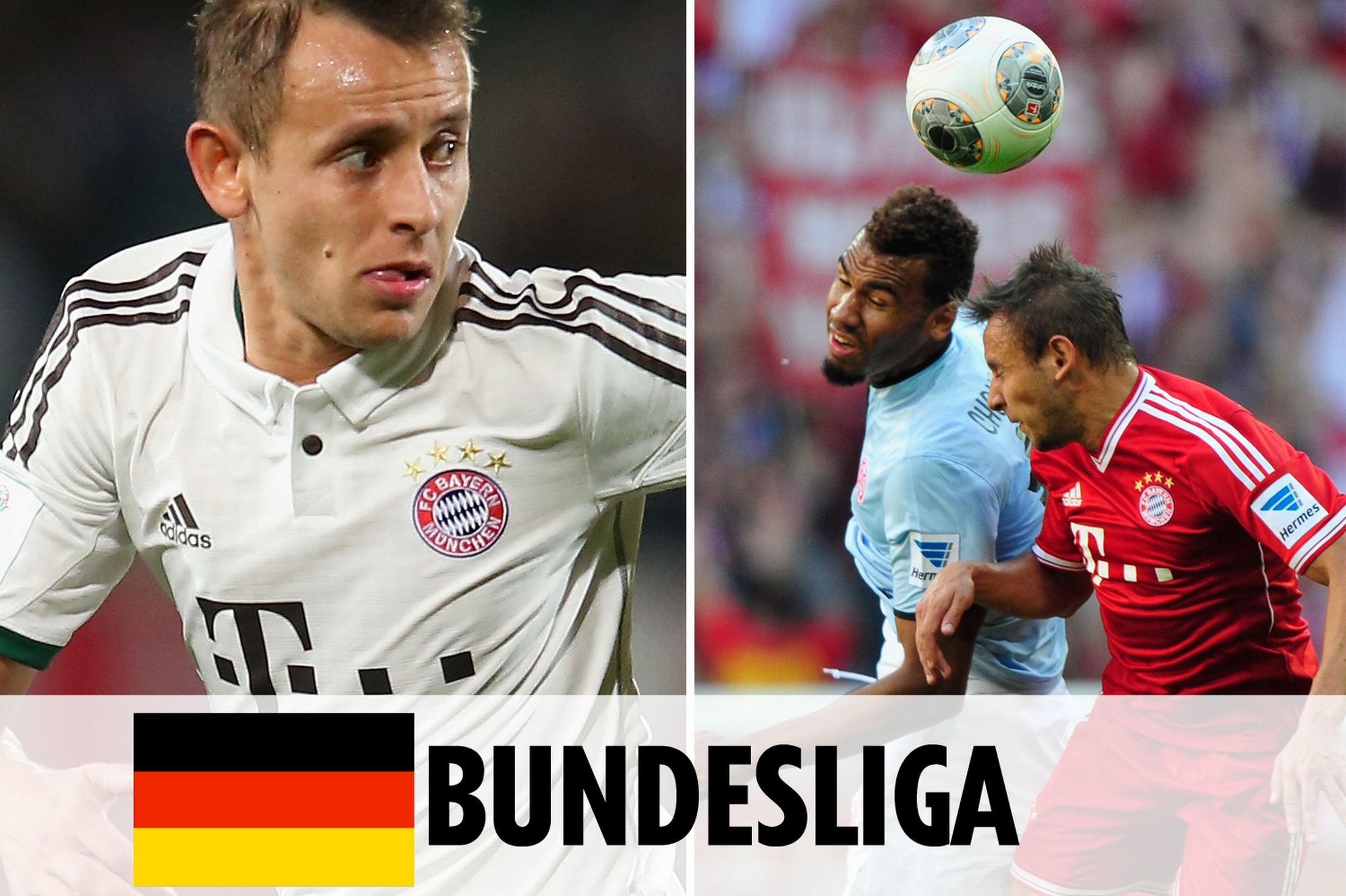 界对某些球 界对某些球