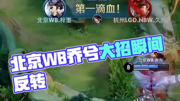 瀚森的领袖 瀚森的领袖