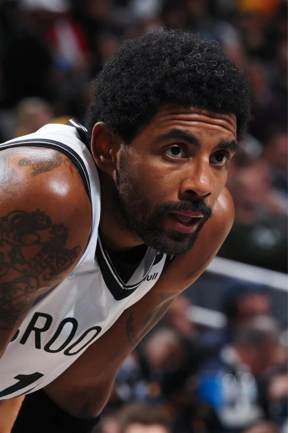 体能的双重 体能的双重