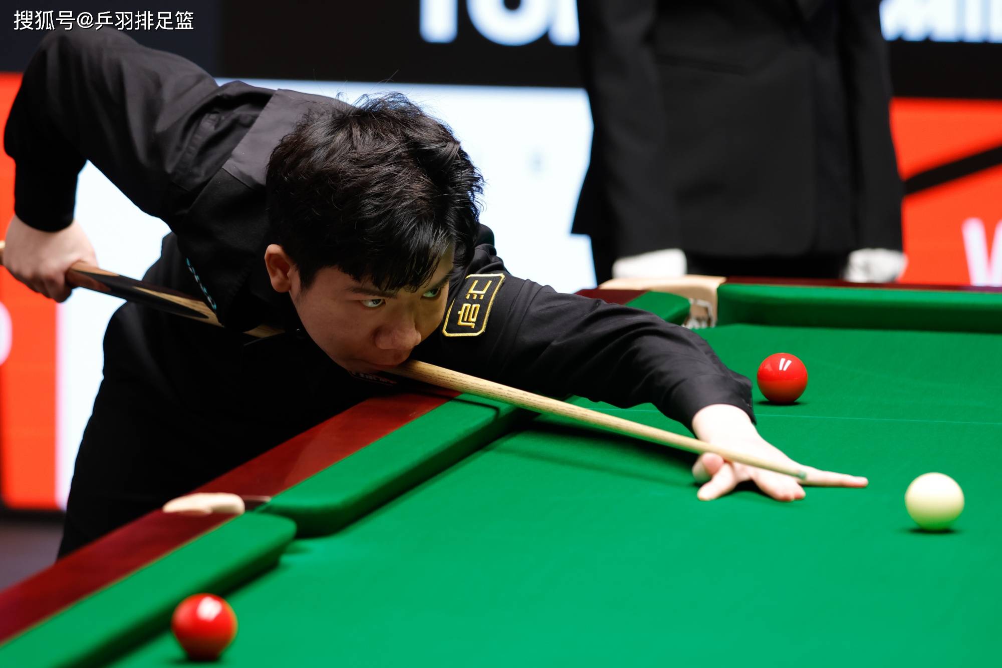 维斯塔潘的 维斯塔潘的