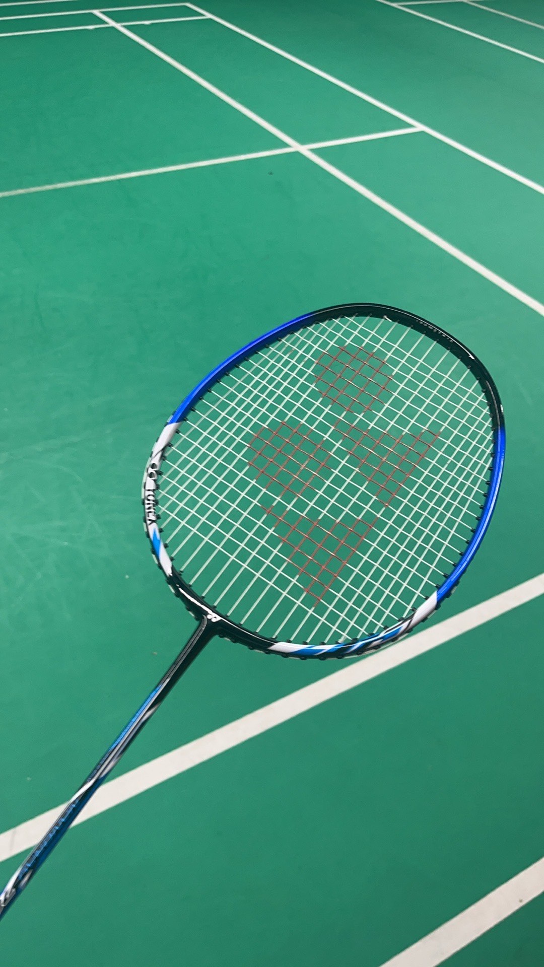 双重标准的 双重标准的