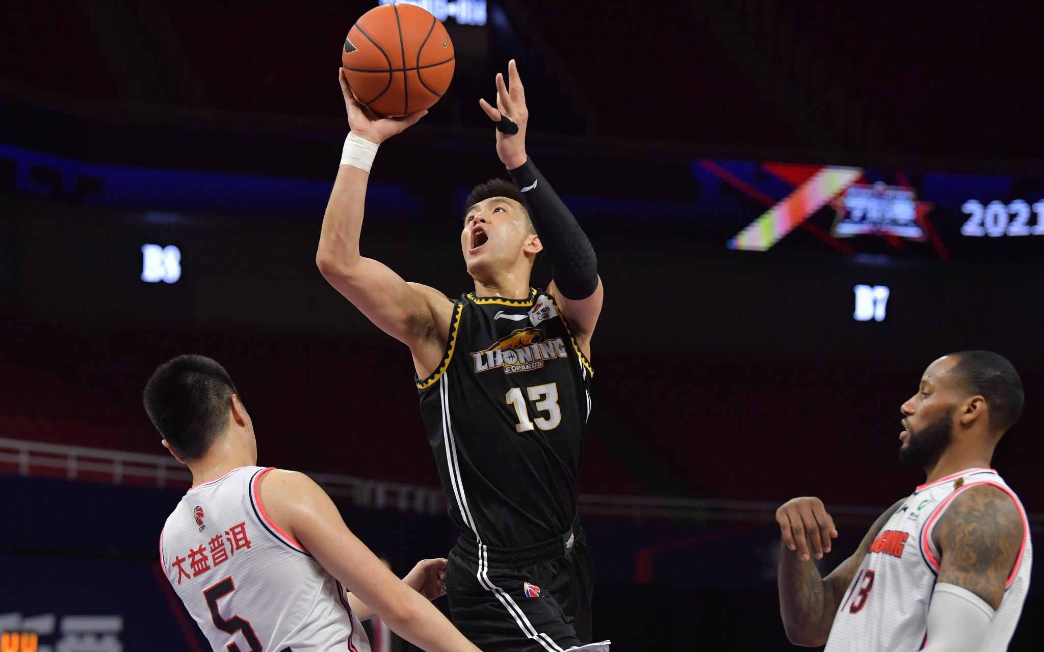 的新生力量 的新生力量