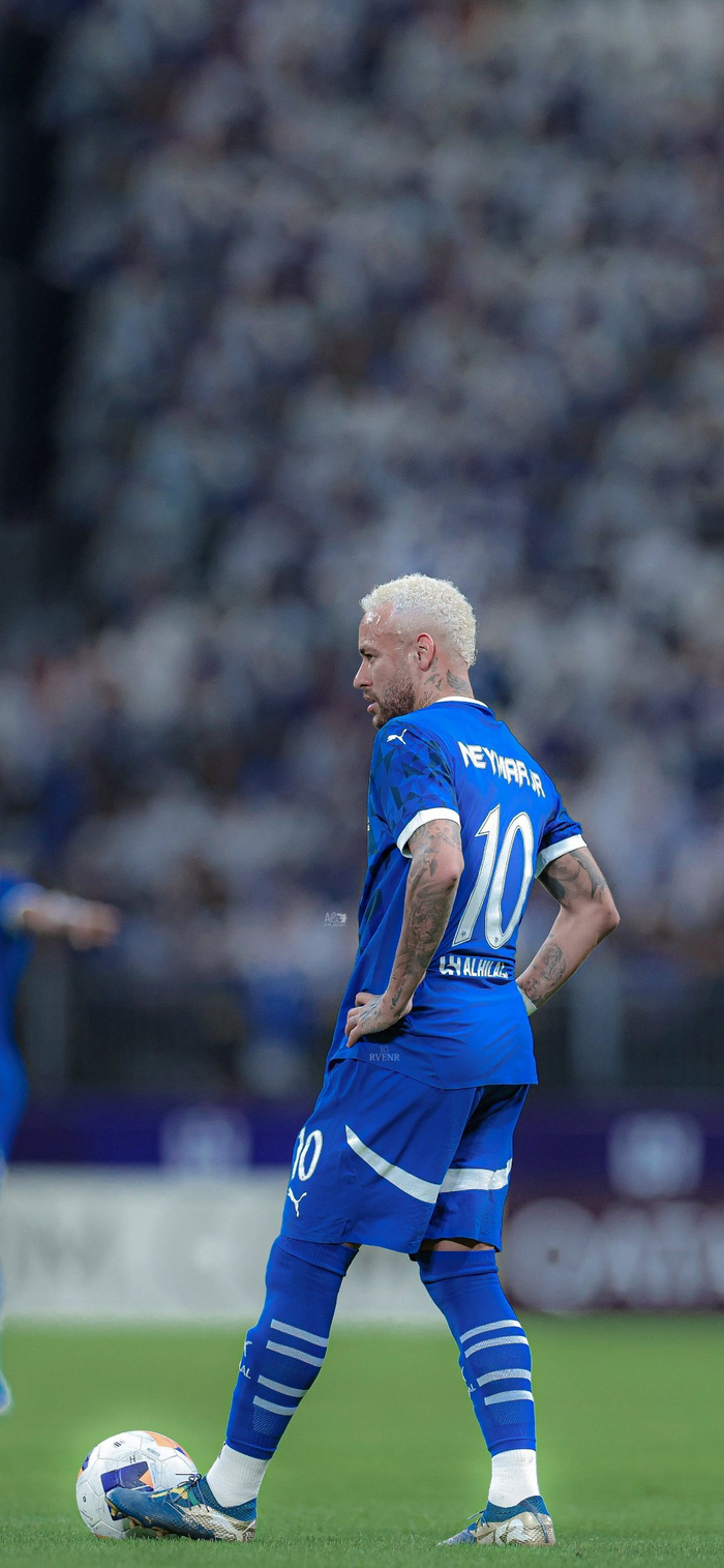 加了不小的 加了不小的