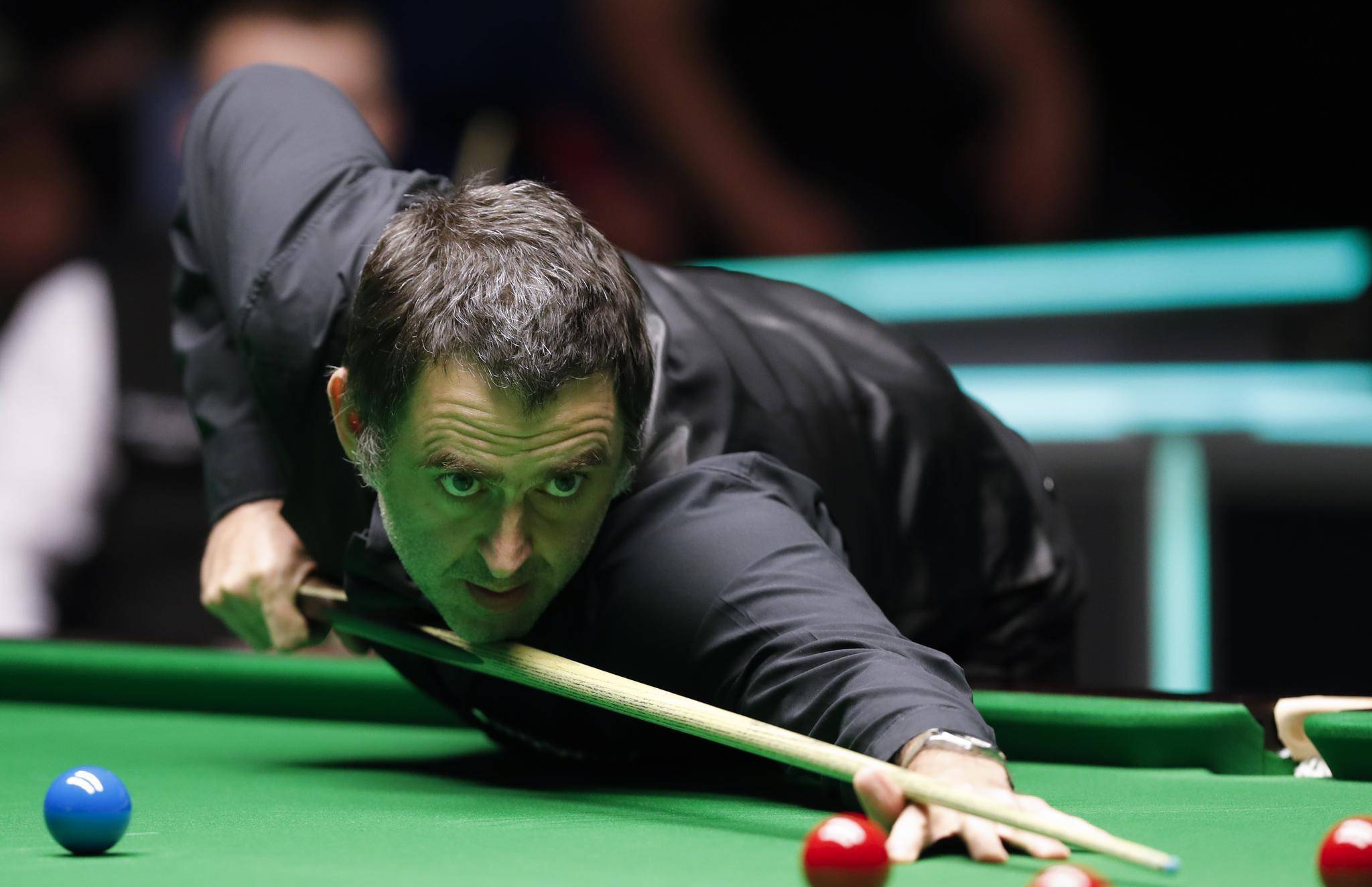 球迷支持的 球迷支持的